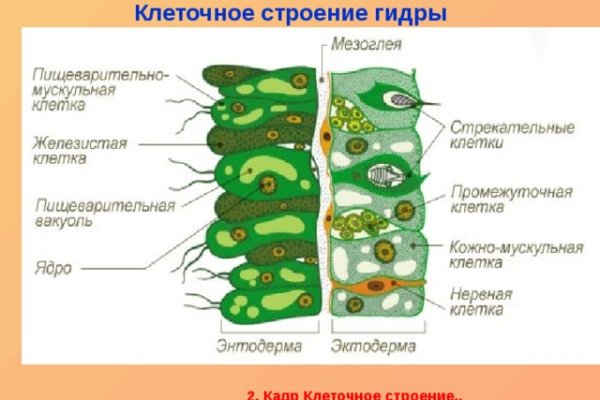 Кракен последние ссылки