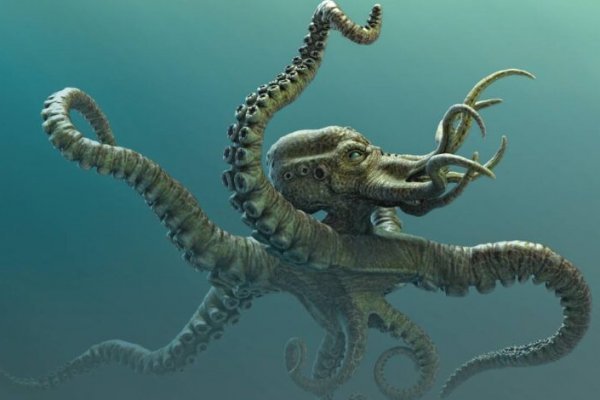 Как зайти на kraken маркетплейс
